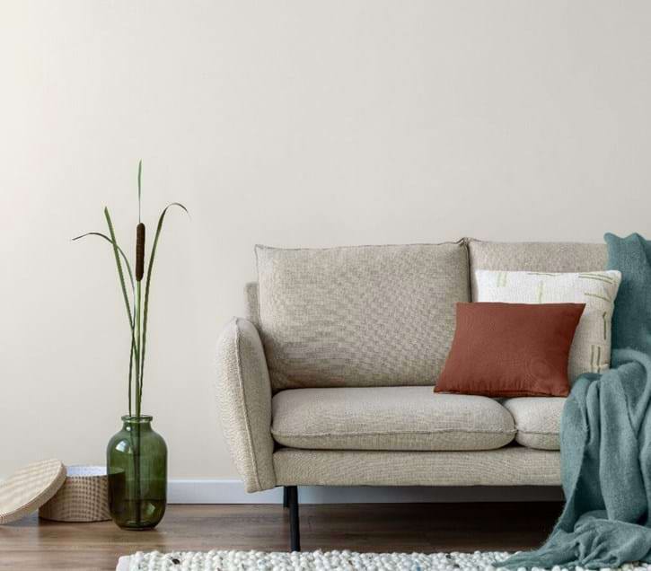Colourtrend paint powdered shell design